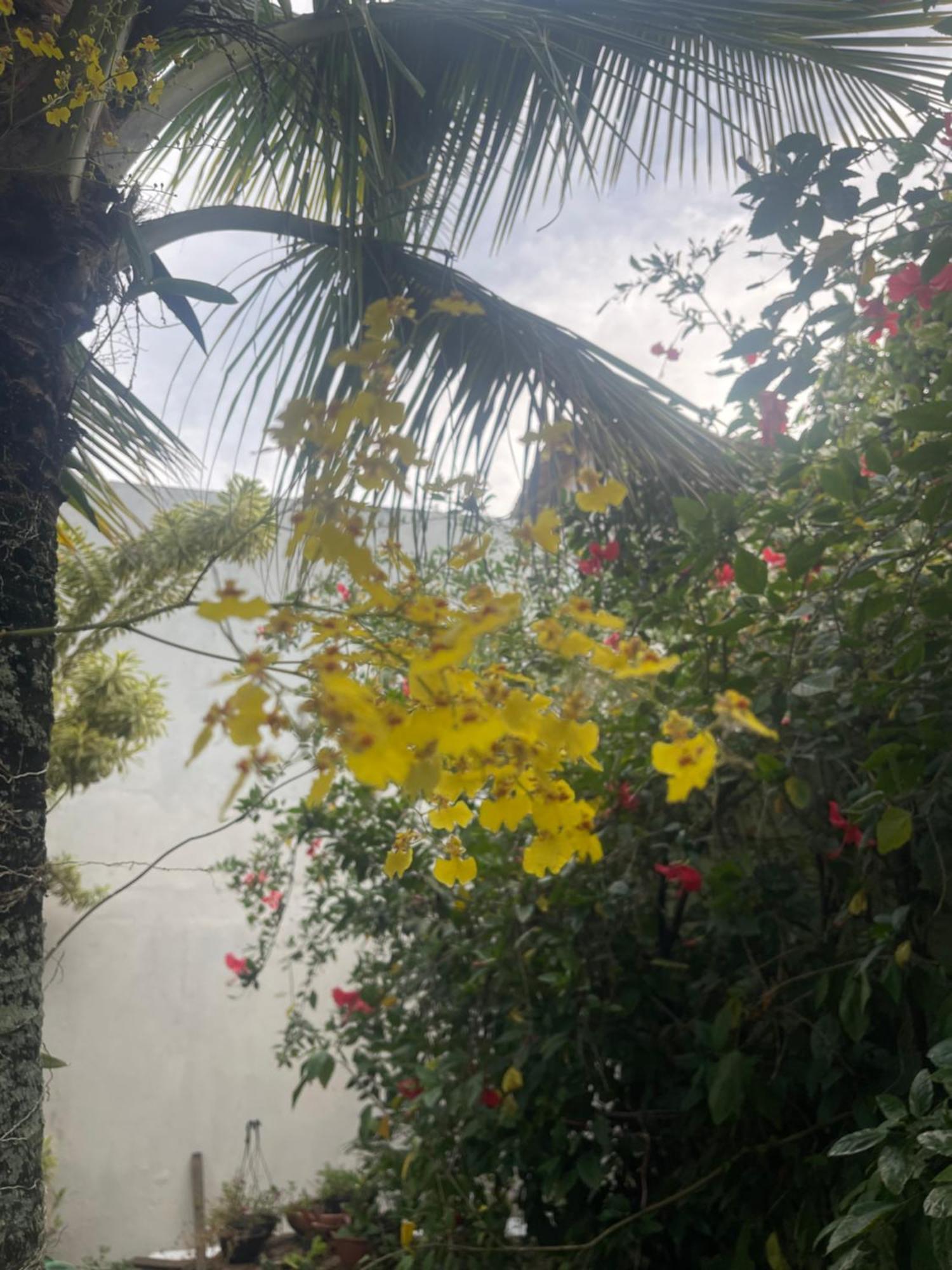 Pousada Bon Vivant Cabo Frio Buitenkant foto